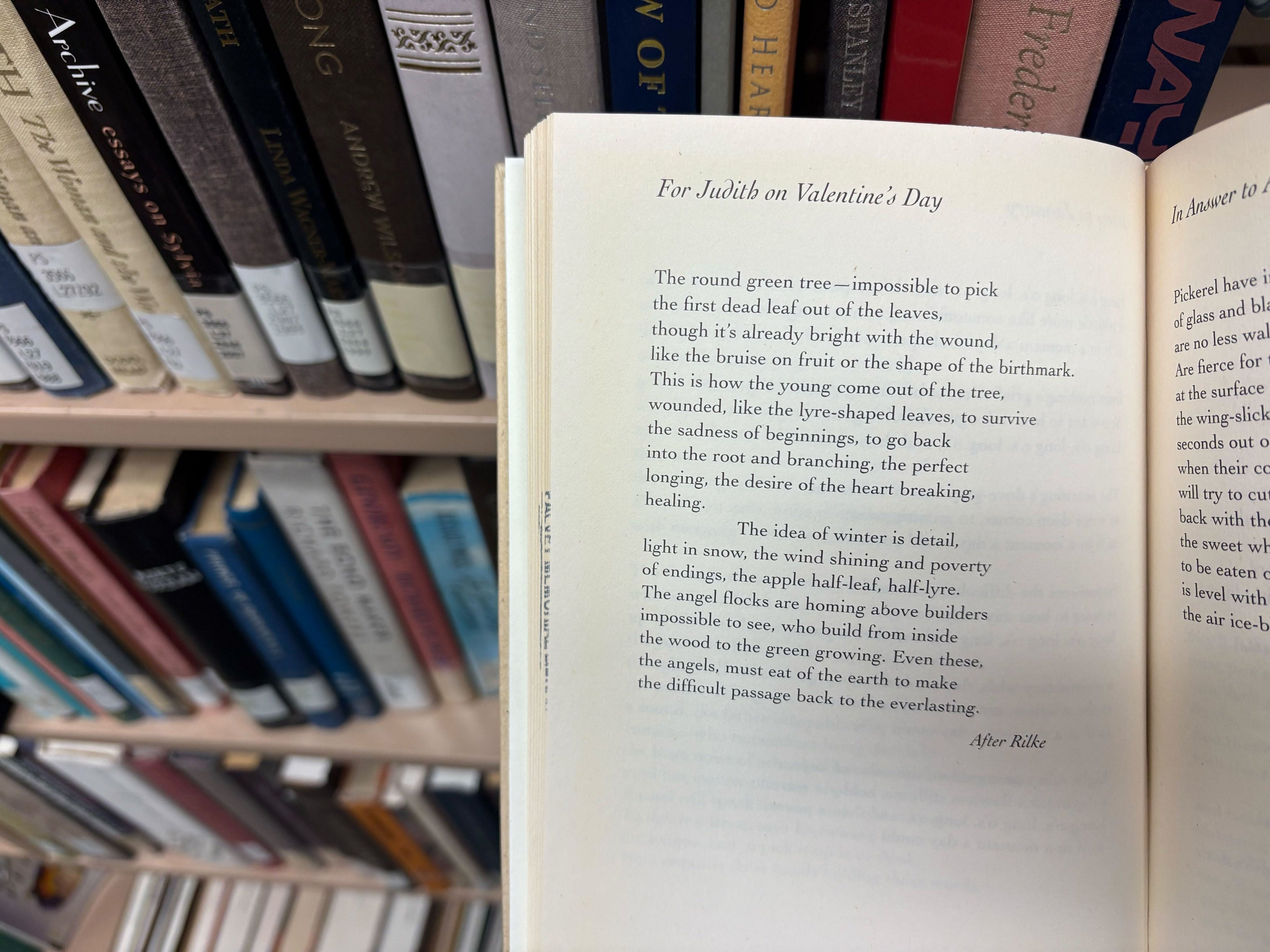 Reclaiming Valentine's Day & my favorite love poems