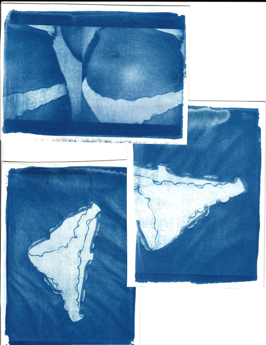 ✧✦cyanotypes with sirens✦✧